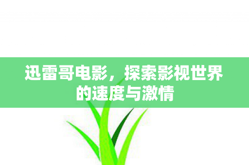 迅雷哥电影,探索影视世界的速度与激情 迅雷哥电影,探索影视世界的速度与激情