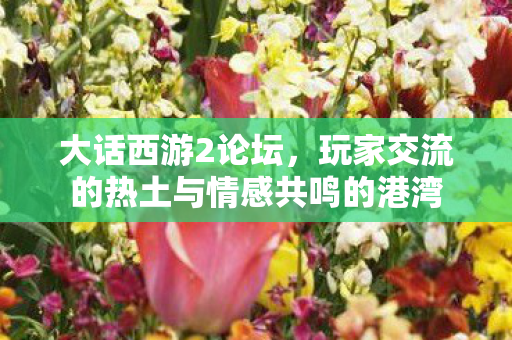 大话西游2论坛,玩家交流的热土与情感共鸣的港湾 大话西游2论坛,玩家交流的热土与情感共鸣的港湾