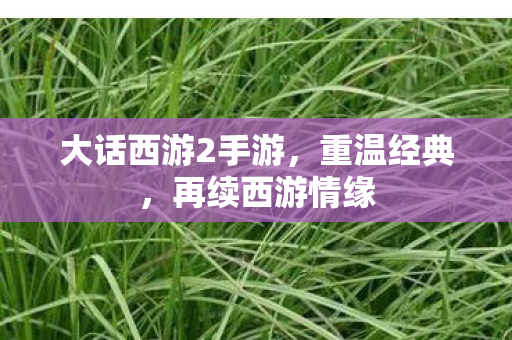 大话西游2手游，重温经典，再续西游情缘