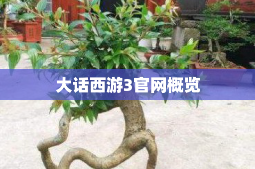 大话西游3官网概览 大话西游3官网概览