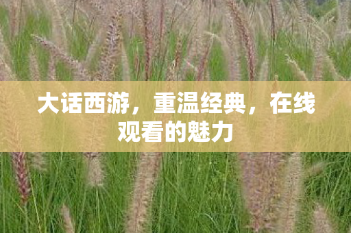 大话西游，重温经典，在线观看的魅力