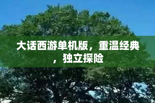 大话西游单机版,重温经典,独立探险 大话西游单机版,重温经典,独立探险