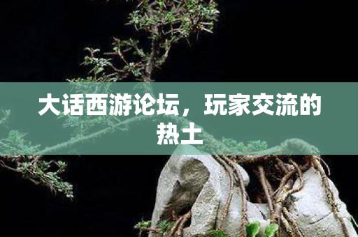 大话西游论坛,玩家交流的热土 大话西游论坛,玩家交流的热土