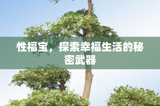 性福宝,探索幸福生活的秘密武器 性福宝,探索幸福生活的秘密武器