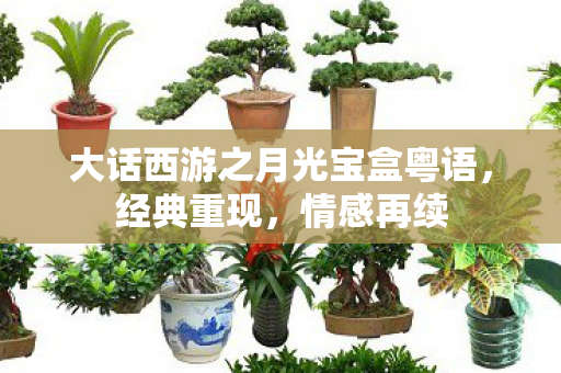 大话西游之月光宝盒粤语,经典重现,情感再续 大话西游之月光宝盒粤语,经典重现,情感再续