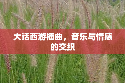 大话西游插曲,音乐与情感的交织 大话西游插曲,音乐与情感的交织