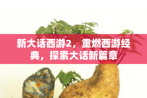 新大话西游2,重燃西游经典,探索大话新篇章 新大话西游2,重燃西游经典,探索大话新篇章