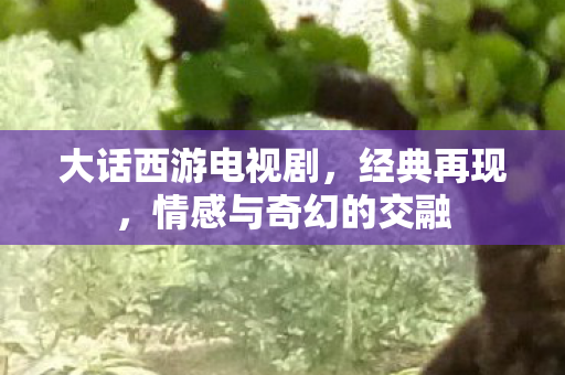 大话西游电视剧,经典再现,情感与奇幻的交融 大话西游电视剧,经典再现,情感与奇幻的交融