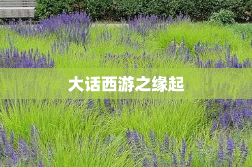 大话西游之缘起