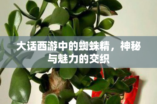 大话西游中的蜘蛛精,神秘与魅力的交织 大话西游中的蜘蛛精,神秘与魅力的交织