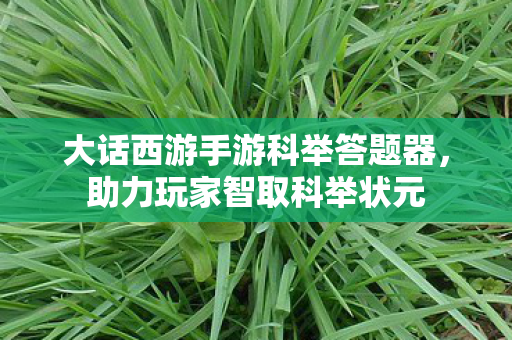 大话西游手游科举答题器,助力玩家智取科举状元 大话西游手游科举答题器,助力玩家智取科举状元