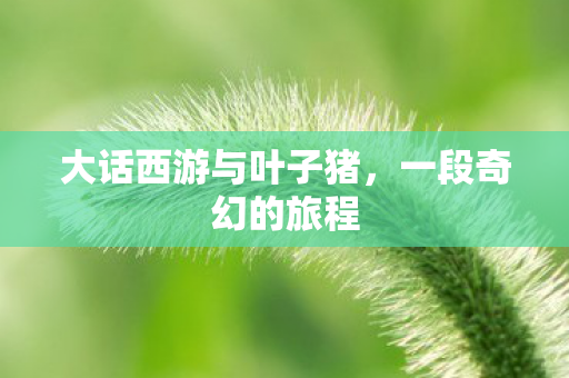 大话西游与叶子猪，一段奇幻的旅程