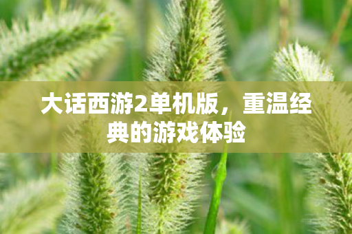 大话西游2单机版，重温经典的游戏体验