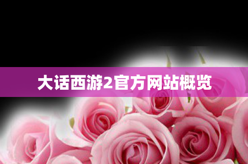 大话西游2官方网站概览 大话西游2官方网站概览