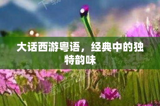 大话西游粤语,经典中的独特韵味 大话西游粤语,经典中的独特韵味