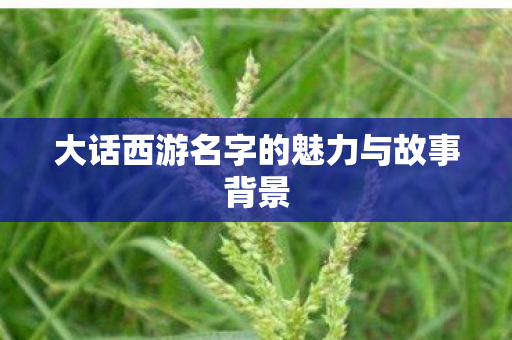 大话西游名字的魅力与故事背景 大话西游名字的魅力与故事背景