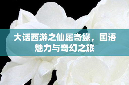 大话西游之仙履奇缘,国语魅力与奇幻之旅 大话西游之仙履奇缘,国语魅力与奇幻之旅