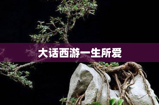 大话西游一生所爱