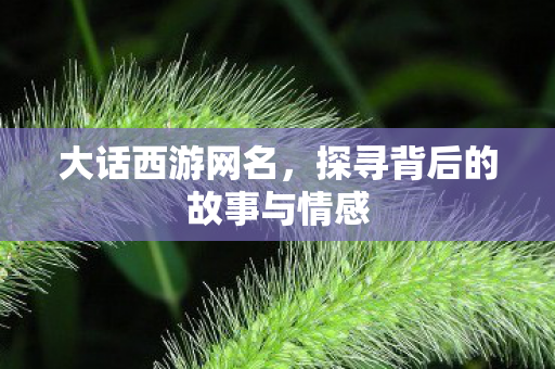 大话西游网名,探寻背后的故事与情感 大话西游网名,探寻背后的故事与情感