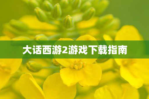 大话西游2游戏下载指南
