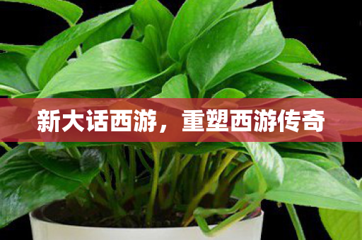 新大话西游,重塑西游传奇 新大话西游,重塑西游传奇