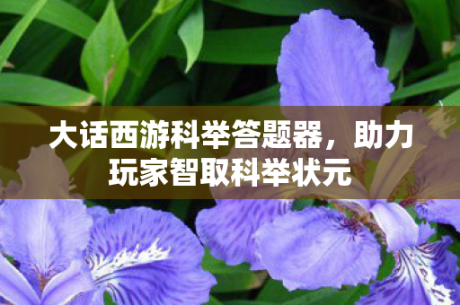 大话西游科举答题器,助力玩家智取科举状元 大话西游科举答题器,助力玩家智取科举状元
