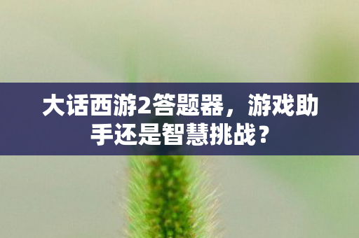 大话西游2答题器，游戏助手还是智慧挑战？