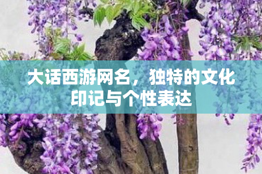 大话西游网名,独特的文化印记与个性表达 大话西游网名,独特的文化印记与个性表达