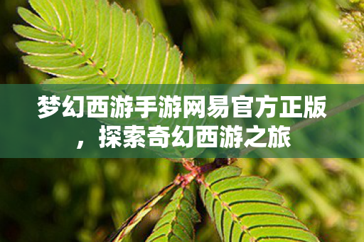梦幻西游手游网易官方正版,探索奇幻西游之旅 梦幻西游手游网易官方正版,探索奇幻西游之旅