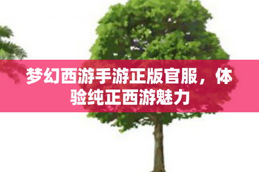梦幻西游手游正版官服,体验纯正西游魅力 梦幻西游手游正版官服,体验纯正西游魅力