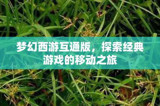梦幻西游互通版,探索经典游戏的移动之旅 梦幻西游互通版,探索经典游戏的移动之旅