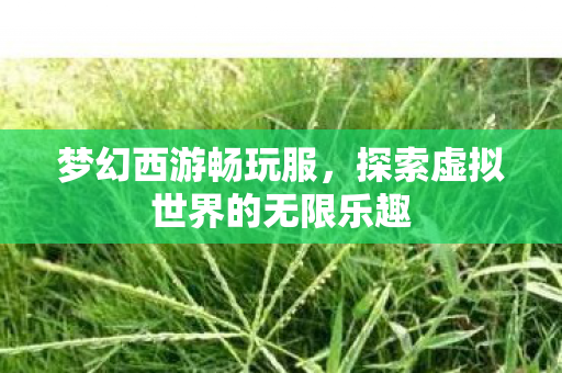 梦幻西游畅玩服,探索虚拟世界的无限乐趣 梦幻西游畅玩服,探索虚拟世界的无限乐趣