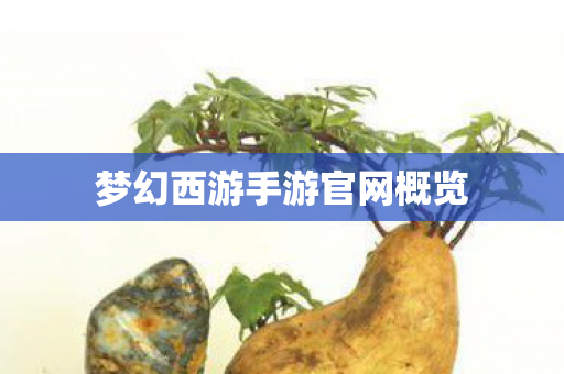 梦幻西游手游官网概览