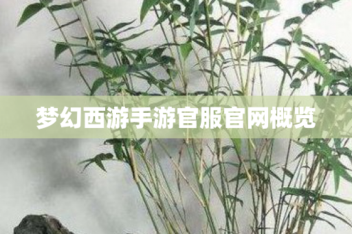 梦幻西游手游官服官网概览 梦幻西游手游官服官网概览