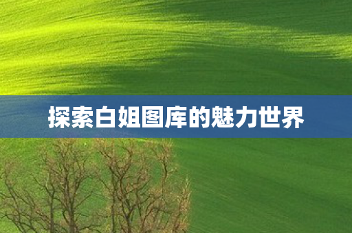 探索白姐图库的魅力世界 探索白姐图库的魅力世界
