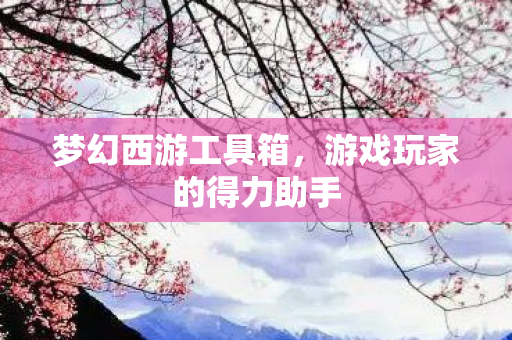 梦幻西游工具箱,游戏玩家的得力助手 梦幻西游工具箱,游戏玩家的得力助手