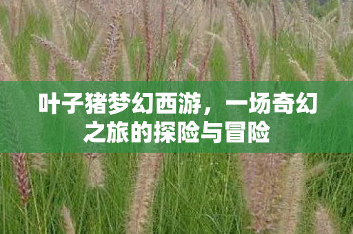 叶子猪梦幻西游,一场奇幻之旅的探险与冒险 叶子猪梦幻西游,一场奇幻之旅的探险与冒险