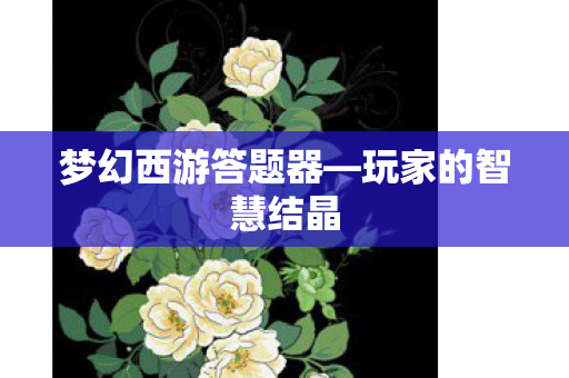 梦幻西游答题器—玩家的智慧结晶 梦幻西游答题器—玩家的智慧结晶