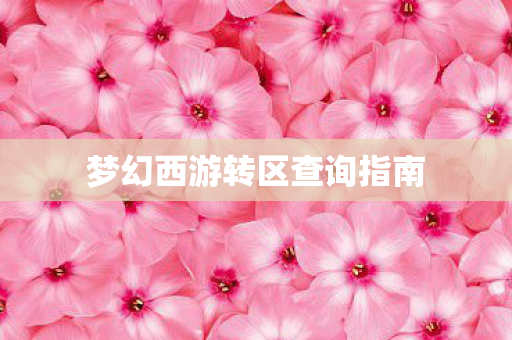 梦幻西游转区查询指南 梦幻西游转区查询指南