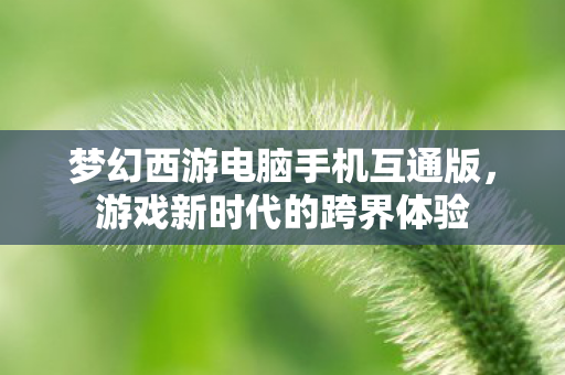 梦幻西游电脑手机互通版,游戏新时代的跨界体验 梦幻西游电脑手机互通版,游戏新时代的跨界体验