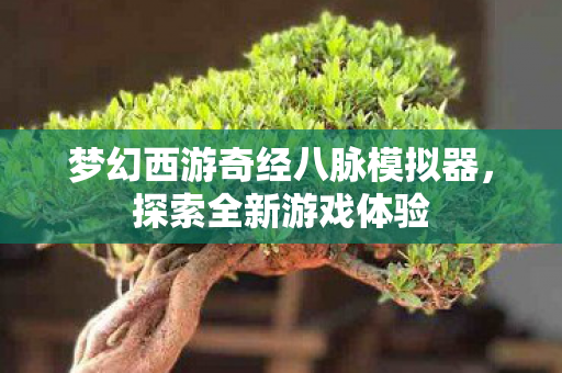 梦幻西游奇经八脉模拟器，探索全新游戏体验