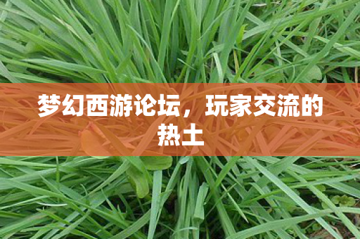 梦幻西游论坛,玩家交流的热土 梦幻西游论坛,玩家交流的热土