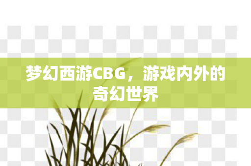 梦幻西游CBG,游戏内外的奇幻世界 梦幻西游CBG,游戏内外的奇幻世界