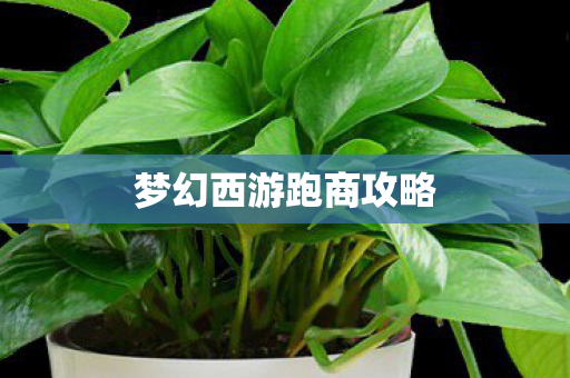 梦幻西游跑商攻略 梦幻西游跑商攻略
