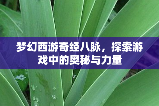 梦幻西游奇经八脉，探索游戏中的奥秘与力量