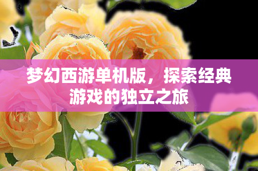梦幻西游单机版,探索经典游戏的独立之旅 梦幻西游单机版,探索经典游戏的独立之旅