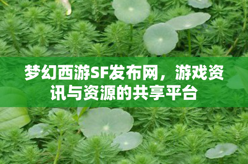 梦幻西游SF发布网,游戏资讯与资源的共享平台 梦幻西游SF发布网,游戏资讯与资源的共享平台