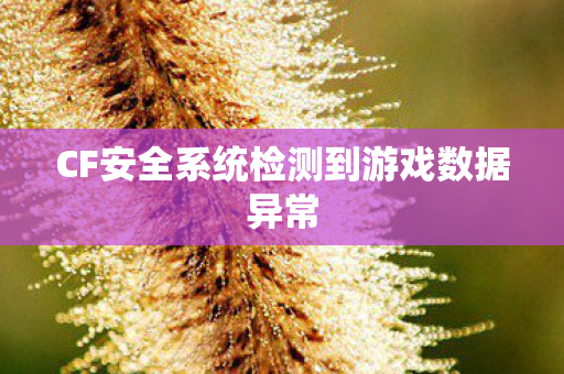 CF安全系统检测到游戏数据异常