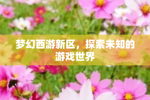 梦幻西游新区,探索未知的游戏世界 梦幻西游新区,探索未知的游戏世界