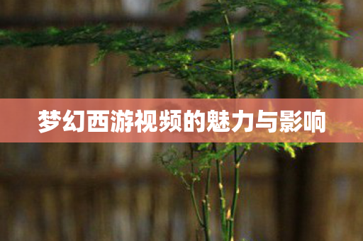 梦幻西游视频的魅力与影响 梦幻西游视频的魅力与影响